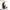 Bowflex - Crosstrainer -