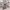 care fitness - Crosstrainer -