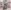 care fitness - Crosstrainer -