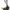 Duke Fitness - Crosstrainer -