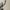 Kettler - Crosstrainer -