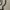 Kettler - Crosstrainer -