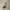 Kettler - Crosstrainer -