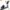 Life Fitness - Crosstrainer -