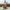 Lifespan - Crosstrainer -