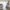 Nautilus - Crosstrainer -