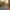 Nautilus - Crosstrainer -