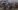 Schwinn - Crosstrainer -