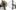 Schwinn - Crosstrainer -