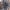 Schwinn - Crosstrainer -
