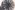 Schwinn - Crosstrainer -