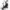 Schwinn - Crosstrainer -