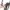 Sole - Crosstrainer -