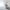 Toorx - Crosstrainer -