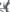Toorx - Crosstrainer -