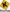 Toorx - Crosstrainer -