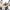 Tunturi - Crosstrainer -