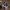 Bowflex - Crosstrainer -