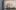Bowflex - Crosstrainer -