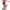 Christopeit - Crosstrainer -