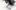 Clp - Crosstrainer -