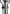 Evolve Fitness - Crosstrainer -