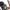 Finnlo - Crosstrainer -