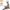 Hammer Fitness CrossPace 7.0 NorsK - Elliptical - Crosstrainer - met 10.1" TFT scherm - met Zwift en Kinomap - Hardhout