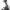 Sole - Crosstrainer -