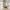 Zipro - Crosstrainer -